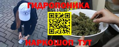 винт Тара