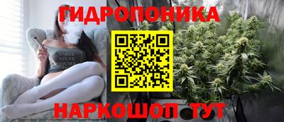 винт Тара
