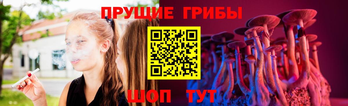 Галлюциногенные грибы Magic Shrooms  где купить наркотик  Вход с VPN  Минусинск  Псилоцибиновые грибы мицелий 